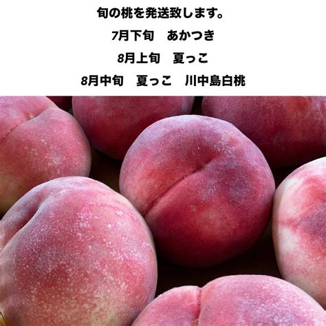 代引き人気 信州産 旬の桃 ちょい 訳あり 家庭用 自家消費 あかつき 川中島白桃 夏っこ 5キロ