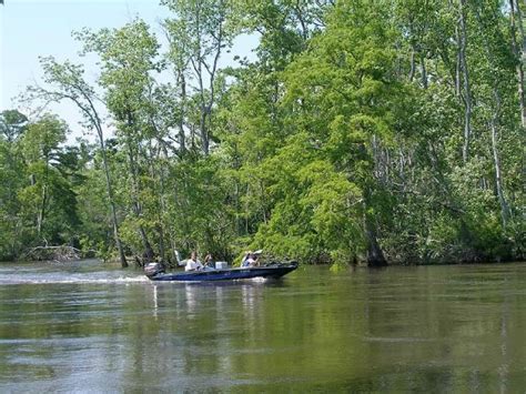 Florida Fish Camps Your Getaways To Old Florida