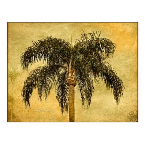 Green Tropical Palm Tree Hawaiian Vintage Palms Postcard Zazzle