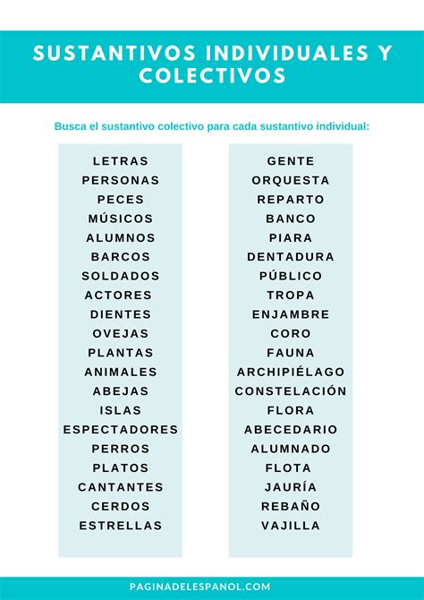 Sustantivo Colectivo De Abeja 8