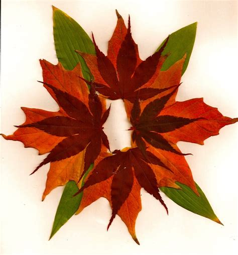 35 best images about Leaf collage on Pinterest | Nature, For kids and Fall leaves crafts