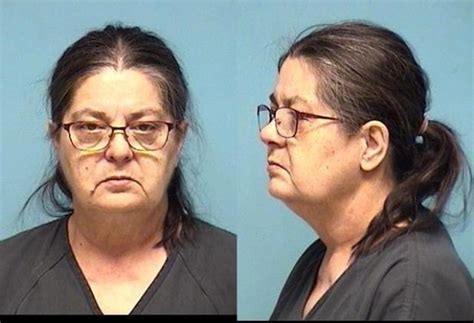 Elyria 66 Year Old Woman Faces Charges In Shooting