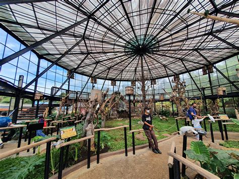 Lembang Park Zoo: Tiket Masuk, Lokasi, Jam Buka & Fasilitas