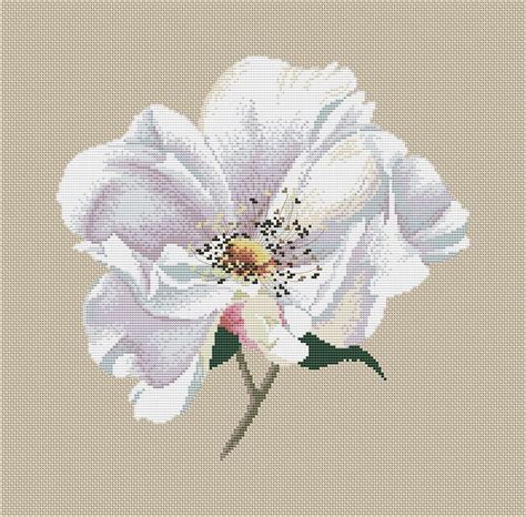 Magnolia Cross Stitch Pattern Modern Flower Floral Chart Etsy Espa A