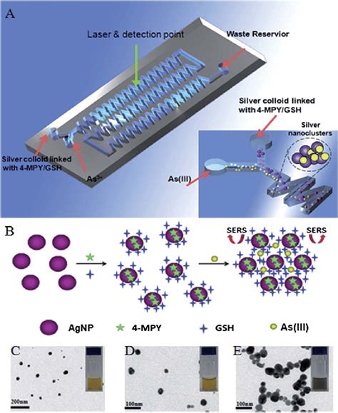 A Schematic Diagram Of The Microfluidic Chip Used For Analyzing The