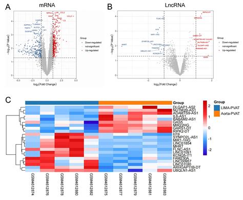 Comprehensive Analysis Of Differentially Expressed LncRNAs In The