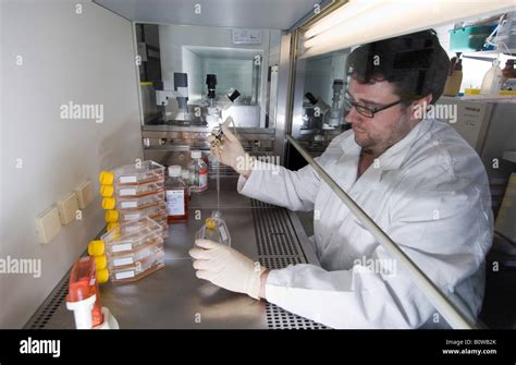 Stem Cell Research Max Planck Institute For Medical Research