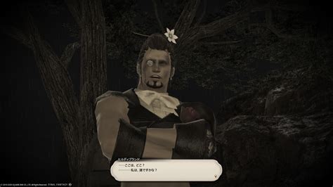 【ff14】5分で分かる事件屋ヒルディブランドのネタバレ紹介（その1）