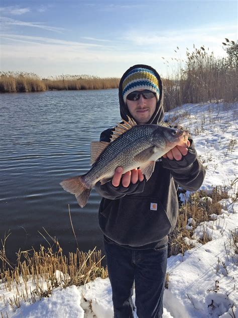 White Perch: Beating Cabin Fever - The Fisherman