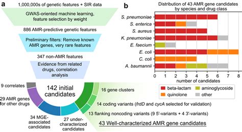 Identification Of Amr Gene Candidates From Machine Learning Models A