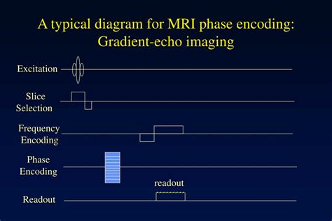 Mri Phase Diagram