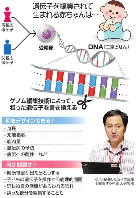 デザイナーベビーが現実に？ 進む受精卵のゲノム編集：朝日新聞デジタル