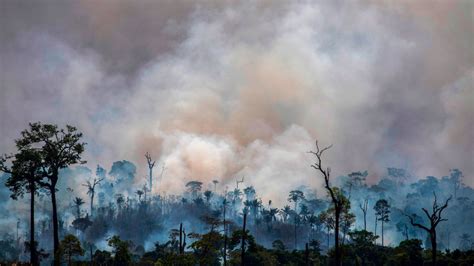 Will Deforestation and Warming Push the Amazon to a Tipping Point ...