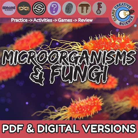 Microorganisms & Fungi Unit Bundle - Clark Creative Education