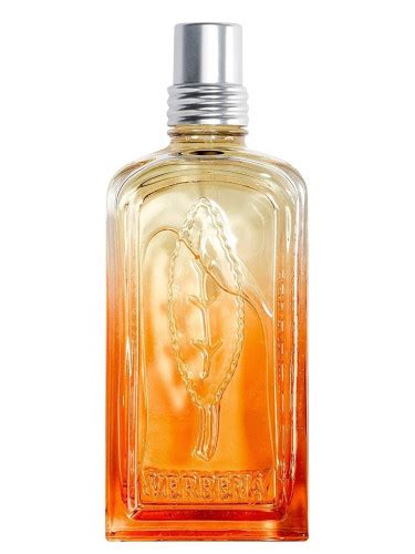 Verveine Mandarine L Occitane En Provence Parfum Un Parfum Pour Homme