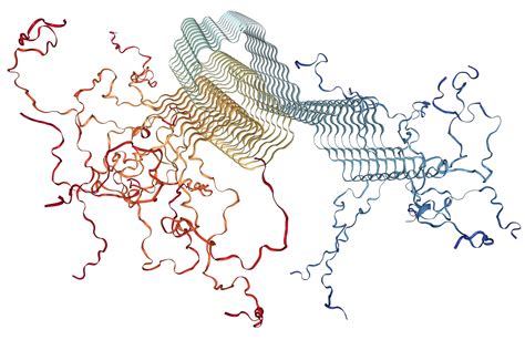 Alpha Synuclein Protein Overview Sino Biological