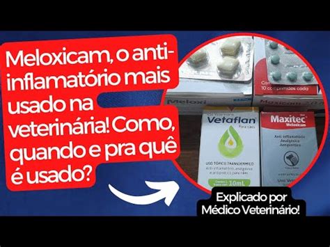 Meloxicam O Anti Inflamat Rio Mais Usado Na Veterin Ria Como Quando