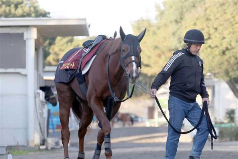 【阪神jf】コラソンビート精神面向上で頂点へ！ 距離延長も不安なし｜競馬ニュース｜競馬予想のウマニティ