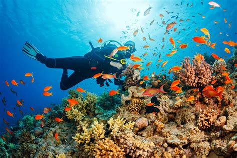 Best Places to Scuba Dive in Thailand - Tips, FAQ, Guide