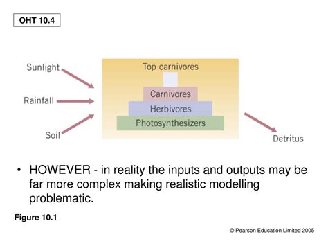 PPT - ECOLOGICAL PROCESSES PowerPoint Presentation, free download - ID ...