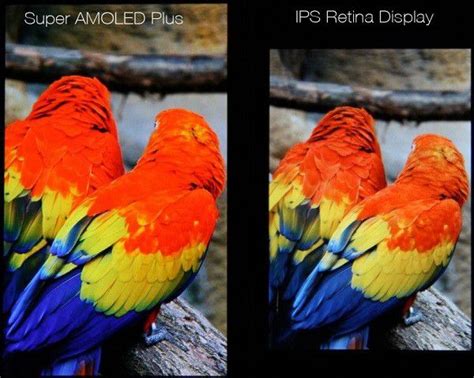 IPS LCD VS Super AMOLED Mana Yang Lebih Baik Paragram Id