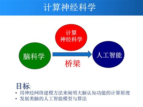 走上学习计算神经科学的“高速路”——《神经计算建模实战：基于brainpy》新书发布 知乎