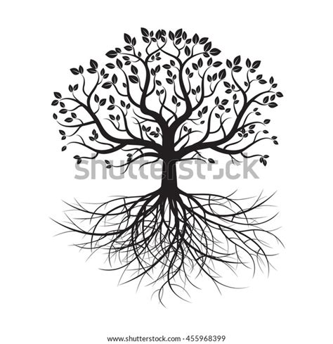 Black Old Tree Roots Vector Illustration Stock Vector Royalty Free