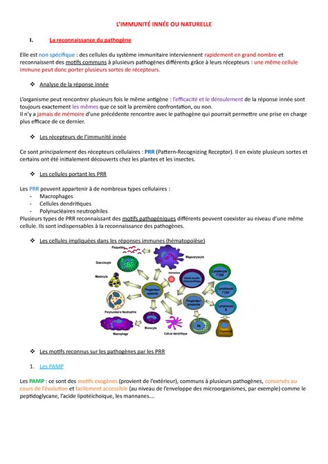 L Immunit Inn E Ou Naturelle Limmunit Inn E Ou Naturelle I La