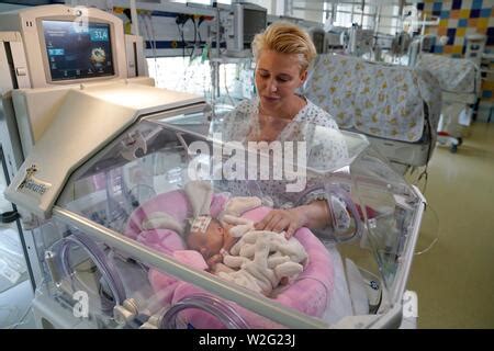 premature twins in an incubator Stock Photo - Alamy