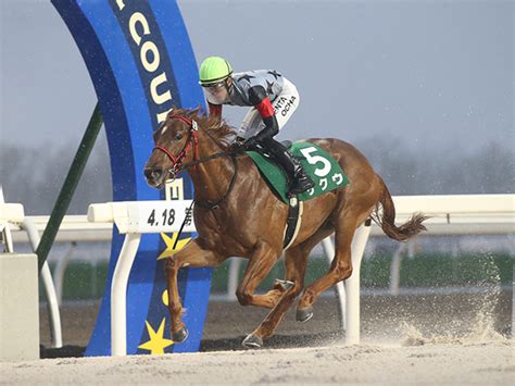 門別で“日本一早い2歳新馬戦” スズカコーズウェイ産駒のゲクウが世代一番星 競馬ニュース Netkeiba