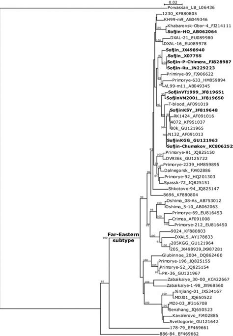 Phylogenetic Tree Of Far Eastern Tbev Subtype For Fragment Genome