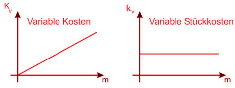 Variable Kosten Beispiele Rechnungswesen