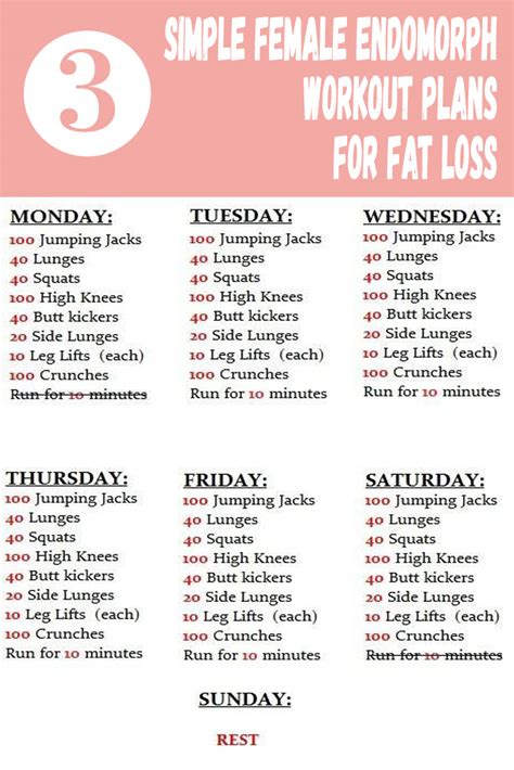 3 Simple Female Endomorph Workout Plans for Fat Loss