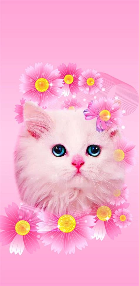 Pink Cute Kittens Pink Kitten Hd Phone Wallpaper Pxfuel