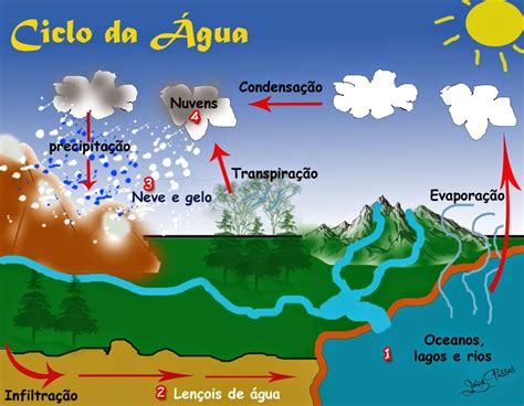 SOS PROFESSOR-ATIVIDADES: Meio ambiente: Ciclo da água