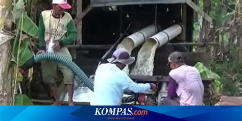 Petani Di Polewali Sewa Pompa Untuk Sedot Air Sungai Demi Atasi Kemarau