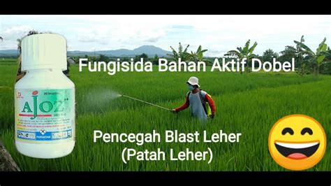 Fungisida Bahan Aktif Dobel Ajoz 200 130 SC Pencegah Blast Leher