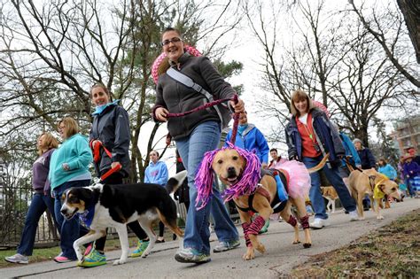 Photos Walk For The Animals