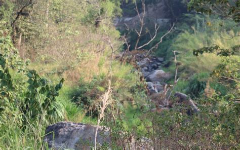 Río Orizaba se seca tras fuerte temporada de sequía en Veracruz El