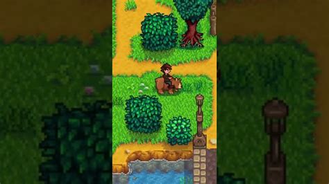 I Tamed The Bear In Stardew Valley Youtube