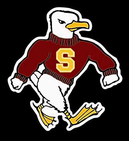 My Alma Mater, Salisbury University's mascot, the Seagull. : r/birdswitharms