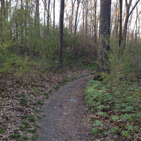 Rocky Ridge , York, PA. Rocky Ridge has lots of trails for hiking and ...