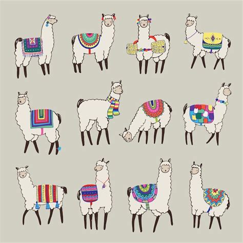 Conjunto De Ilustraciones Vectoriales De Llama Alpaca Vector Premium