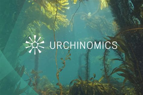 Urchinomics California Sea Urchin Commission