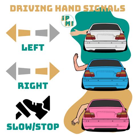 Hand Signals for Driving | PuedoManejar.com