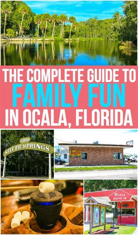 12 Fun Things To Do In Ocala Florida In 2024 Play Party Plan