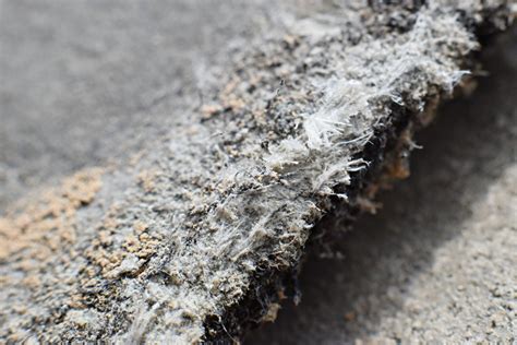 The Two Types Of Asbestos Survey Explained Des Holdings