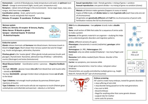 Aqa Gcse Combined Biology Cheatsheets Teaching Resources