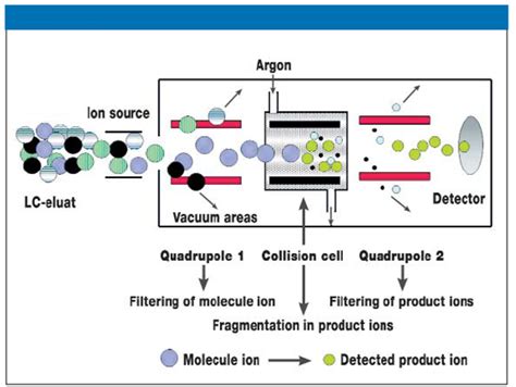 Tandem Mass Spectrometry Use In Screening For Inborn Errors Of Metabolism 1916 Words Essay