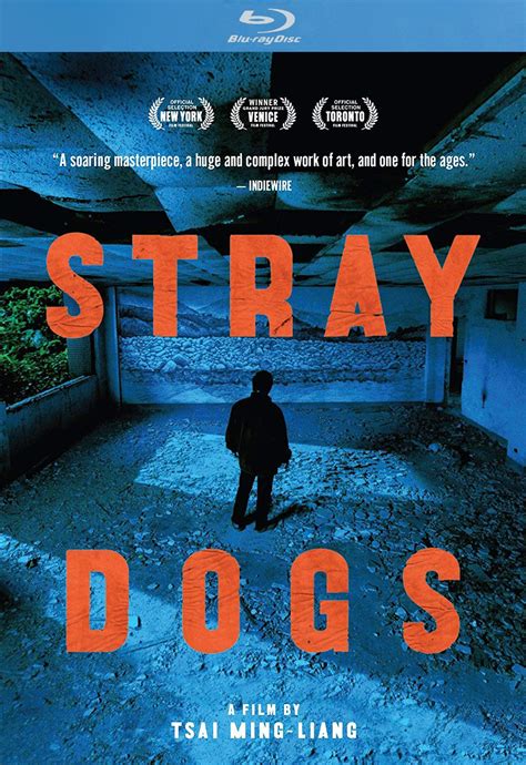 Blu-ray Review: Stray Dogs - Slant Magazine